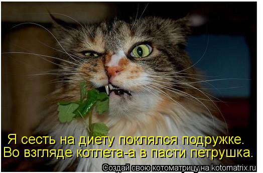 Я сесть на диету поклялся подружке. Во взгляде котлета-а в пасти петрушка.... Котоматрица: Я сесть на диету поклялся подружке. Во взгляде котлета-а в пасти петрушка.