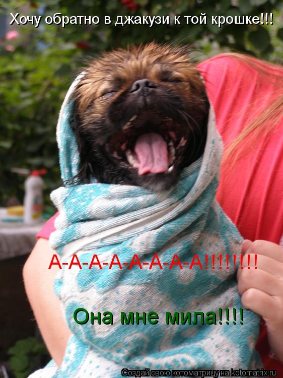 Котоматрица: Хочу обратно в джакузи к той крошке!!! А-А-А-А-А-А-А-А!!!!!!!! Она мне мила!!!!