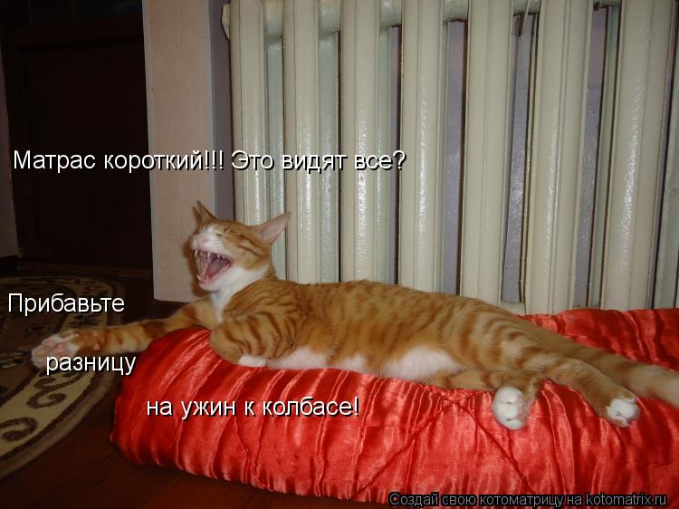 Котоматрица: Матрас короткий!!! Это видят все? Прибавьте разницу на ужин к колбасе!