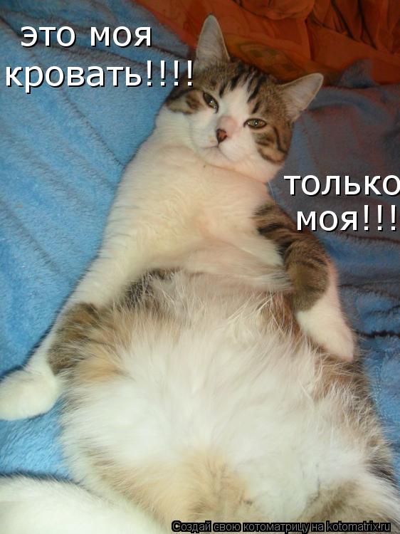 Котоматрица: это моя кровать!!!! только моя!!!!