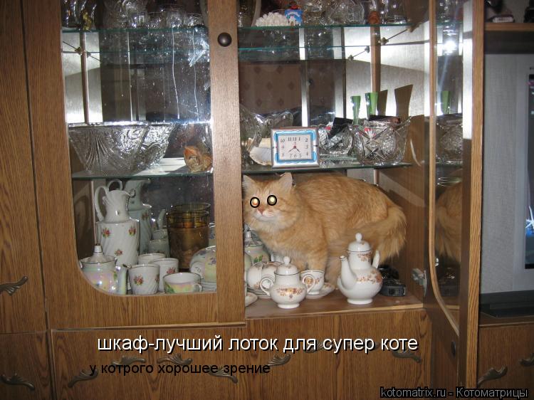шкаф-лучший лоток для супер коте О О у котрого хорошее зрение... Котоматрица: шкаф-лучший лоток для супер коте О О у котрого хорошее зрение