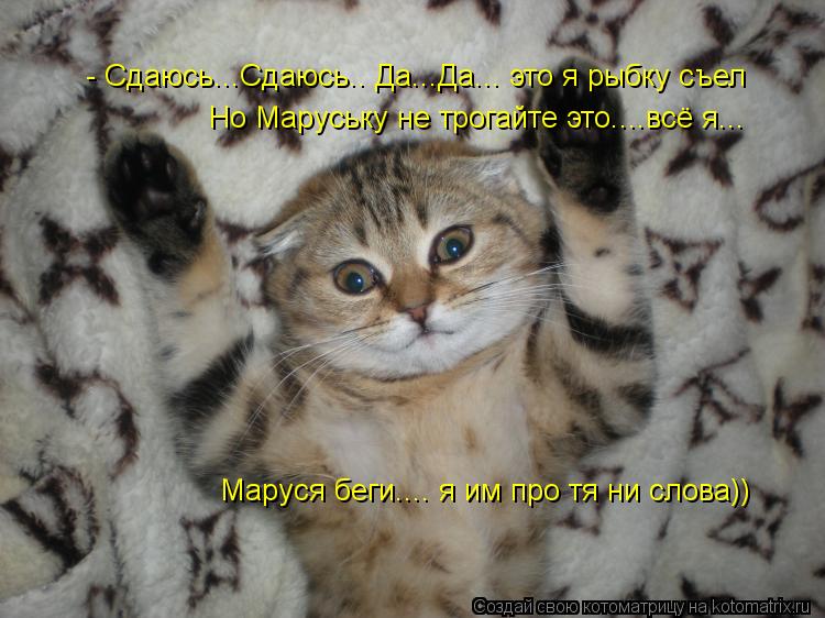 Но Маруську не трогайте это....всё я... - Сдаюсь...Сдаюсь.. Да...Да... это я рыбку съел Маруся беги..... Котоматрица: Но Маруську не трогайте это....всё я... - Сдаюсь...Сдаюсь.. Да...Да... это я рыбку съел Маруся беги.... я им про тя ни слова))