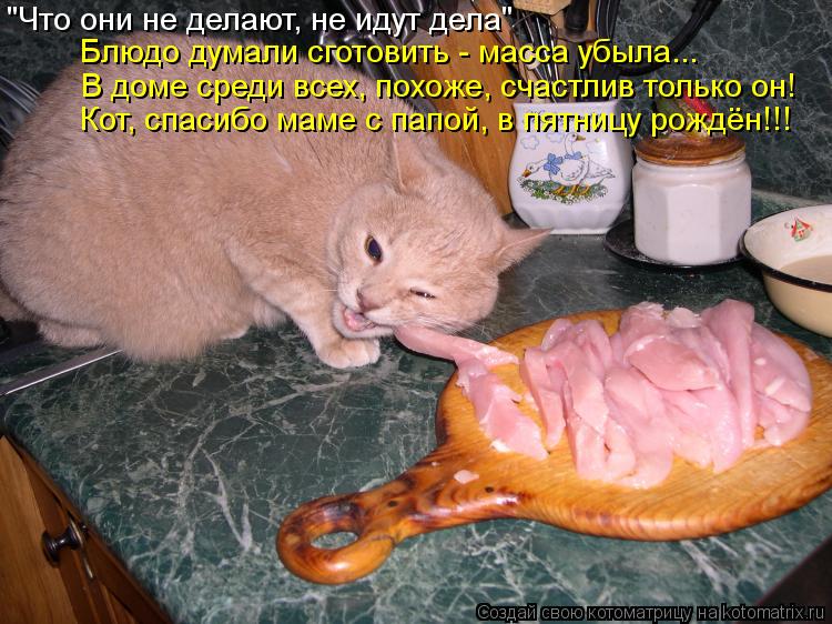 "Что они не делают, не идут дела" Блюдо думали сготовить - масса убыла... Кот, спасибо маме с папой... Котоматрица: "Что они не делают, не идут дела" Блюдо думали сготовить - масса убыла... Кот, спасибо маме с папой, в пятницу рождён!!! В доме среди всех, похож