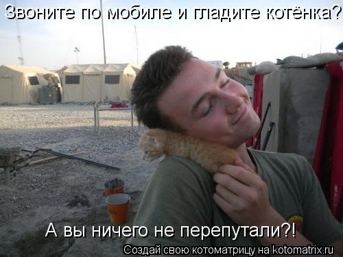 Котоматрица: Звоните по мобиле и гладите котёнка? А вы ничего не перепутали?!