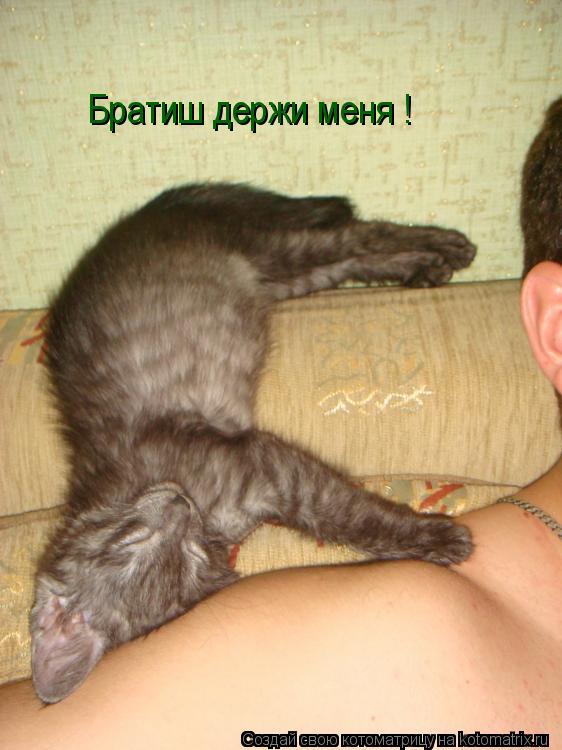 Котоматрица: Братиш держи меня !