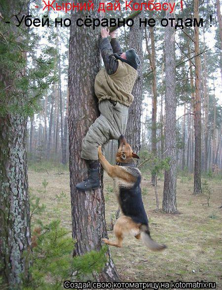 Котоматрица: - Жырний дай Колбасу !  - Убей но сёравно не отдам !