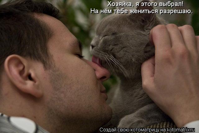Хозяйка, я этого выбрал! На нём тебе жениться разрешаю.... Котоматрица: Хозяйка, я этого выбрал! На нём тебе жениться разрешаю.