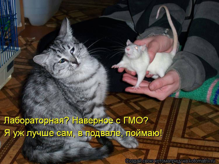 Котоматрица: Лабораторная? Наверное с ГМО?  Я уж лучше сам, в подвале, поймаю!
