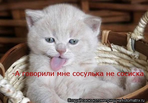 -А говорили мне сосулька не сосиска... Котоматрица: -А говорили мне сосулька не сосиска
