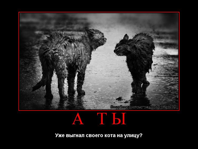 Котоматрица: А ты Уже выгнал своего кота на улицу?