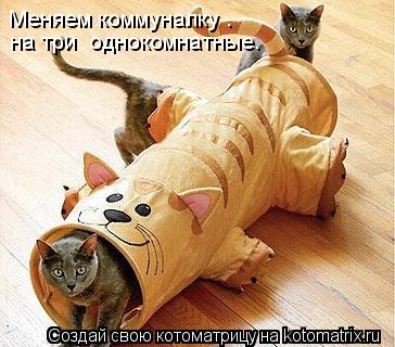 Меняем коммуналку . на три однокомнатные.... Котоматрица: Меняем коммуналку . на три однокомнатные.