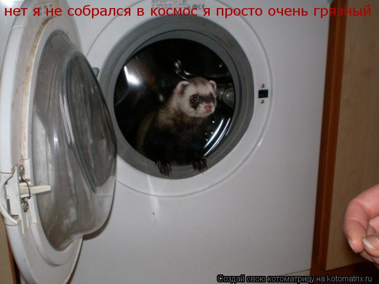 Котоматрица: нет я не собрался в космос я просто очень грязный