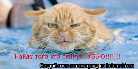 Котоматрица: Найду того кто скинул, УБЬЮ!!!!!!!