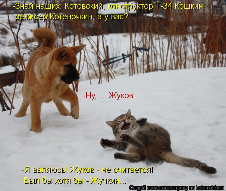 режисер Котеночкин, а у вас? -Знай наших: Котовский, конструктор Т-34 Кошкин, -Ну, ... Жуков. -Я валя... Котоматрица: режисер Котеночкин, а у вас? -Знай наших: Котовский, конструктор Т-34 Кошкин, -Ну, ... Жуков. -Я валяюсь! Жуков - не считается! Был бы хотя бы - Жучки