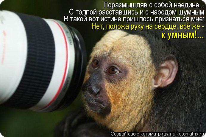 С толпой расставшись и с народом шумным Поразмышляв с собой наедине... В такой вот истине пришлось п... Котоматрица: С толпой расставшись и с народом шумным Поразмышляв с собой наедине... В такой вот истине пришлось признаться мне: Нет, положа руку на сердц