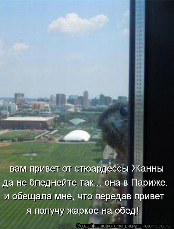 Котоматрица: вам привет от стюардессы Жанны да не бледнейте так... она в Париже, и обещала мне, что передав привет я получу жаркое на обед!