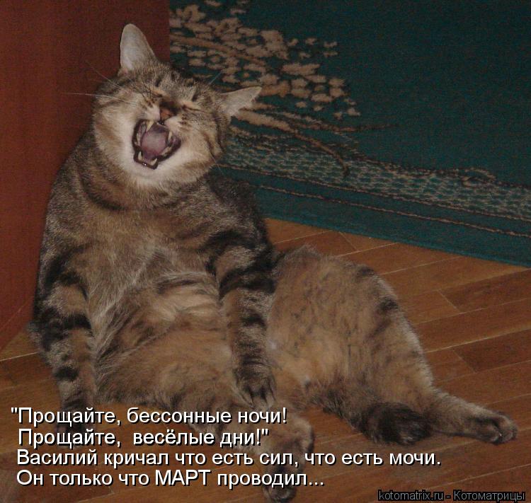 "Прощайте, бессонные ночи! Василий кричал что есть сил, что есть мочи. Он только что МАРТ проводил...... Котоматрица: "Прощайте, бессонные ночи! Василий кричал что есть сил, что есть мочи. Он только что МАРТ проводил... Прощайте, весёлые дни!" Прощайте, весёлы