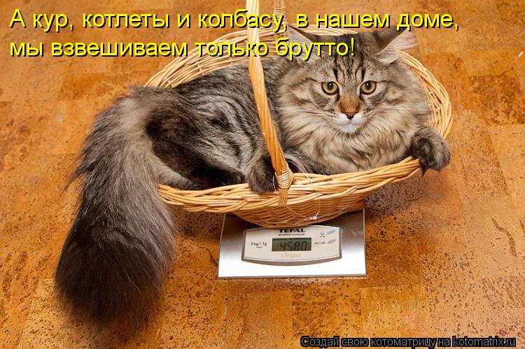 Котоматрица: А кур, котлеты и колбасу, в нашем доме,  мы взвешиваем только брутто!