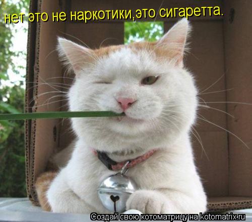 Котоматрица: нет это не наркотики,это сигаретта.