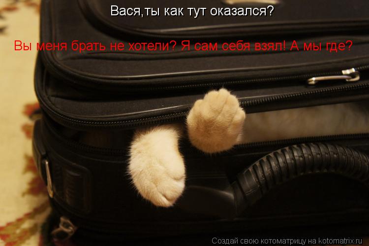 Котоматрица: Вася,ты как тут оказался? Вы меня брать не хотели? Я сам себя взял! А мы где?
