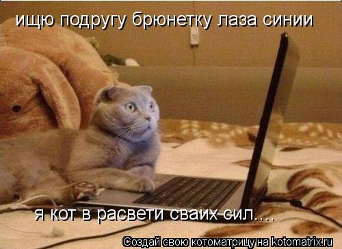 Котоматрица: ищю подругу брюнетку лаза синии я кот в расвети сваих сил....