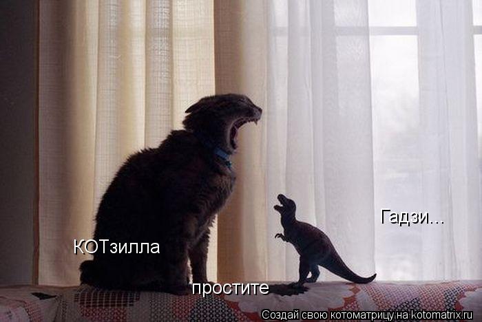 Котоматрица: Гадзи...  простите КОТзилла