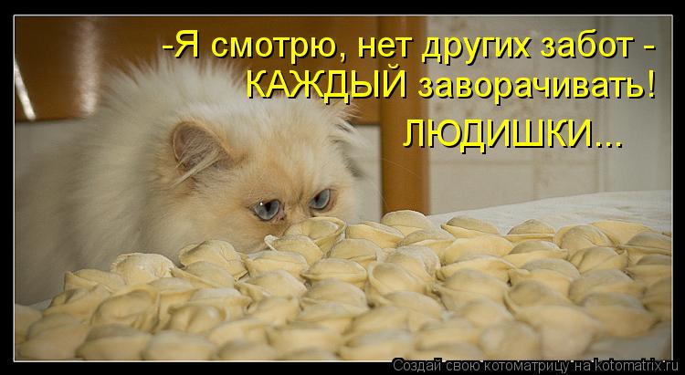 Котоматрица: -Я смотрю, нет других забот -  КАЖДЫЙ заворачивать! ЛЮДИШКИ...