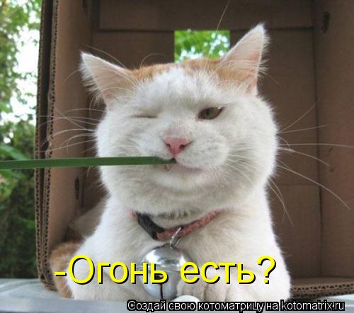 Котоматрица: -Огонь есть?