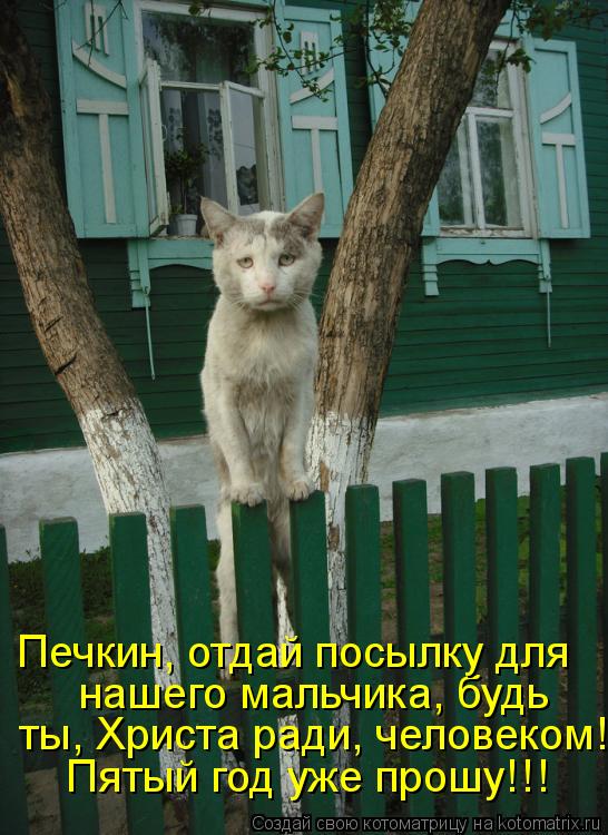 Пятый год уже прошу!!! ты, Христа ради, человеком! нашего мальчика, будь Печкин, отдай посылку для... Котоматрица: Пятый год уже прошу!!! ты, Христа ради, человеком! нашего мальчика, будь Печкин, отдай посылку для