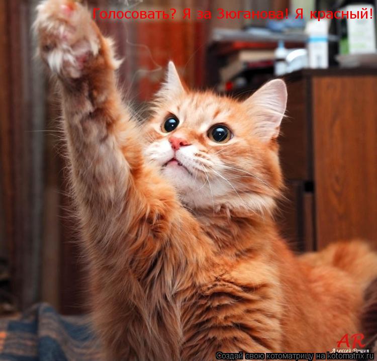 Голосовать? Я за Зюганова! Я красный!... Котоматрица: Голосовать? Я за Зюганова! Я красный!