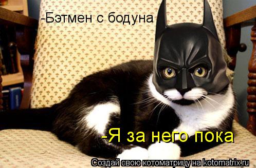 Котоматрица: -Бэтмен с бодуна -Я за него пока