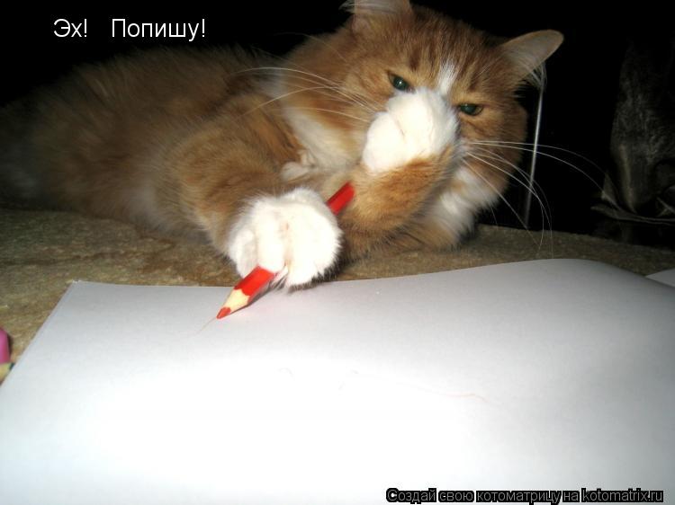 Котоматрица: Эх!   Попишу!