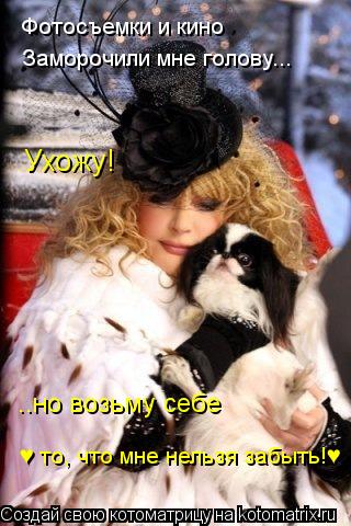 Фотосъемки и кино Заморочили мне голову... Ухожу! ..но возьму себе ♥ то, что мне нельзя забыть!... Котоматрица: Фотосъемки и кино Заморочили мне голову... Ухожу! ..но возьму себе ♥ то, что мне нельзя забыть!♥