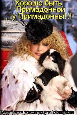 Хорошо быть Примадонной ...у Примадонны!!!... Котоматрица: Хорошо быть Примадонной ...у Примадонны!!!