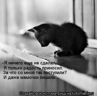 -Я ничего еще не сделал, Я только радость приносил. За что со мной так поступили? И даже мамочки лиши... Котоматрица: -Я ничего еще не сделал, Я только радость приносил. За что со мной так поступили? И даже мамочки лишили...