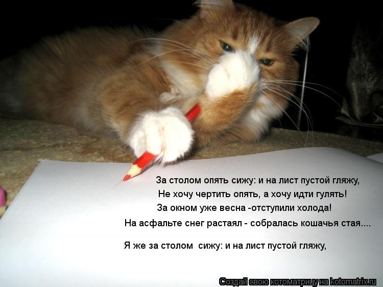 Не хочу чертить опять, а хочу идти гулять! За окном уже весна -отступили холода! На асфальте снег рас... Котоматрица: Не хочу чертить опять, а хочу идти гулять! За окном уже весна -отступили холода! На асфальте снег растаял - собралась кошачья стая.... За столо