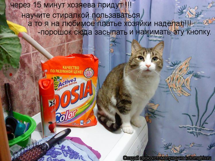 через 15 минут хозяева придут !!! научите стиралкой пользаваться а то я на любимое платье хозяйки над... Котоматрица: через 15 минут хозяева придут !!! научите стиралкой пользаваться а то я на любимое платье хозяйки наделал!!! -порошок сюда засыпать и нажимать