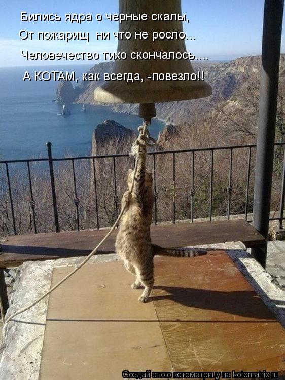 Котоматрица: Бились ядра о черные скалы, От пожарищ  ни что не росло... Человечество тихо скончалось.... А КОТАМ, как всегда, -повезло!!