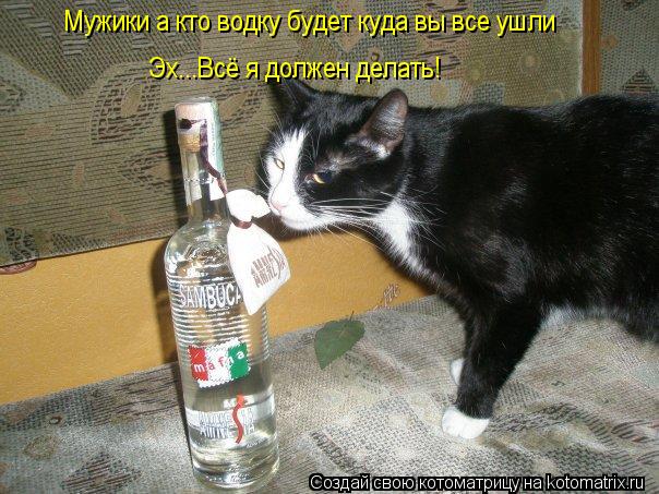 Котоматрица: Мужики а кто водку будет куда вы все ушли Эх...Всё я должен делать!