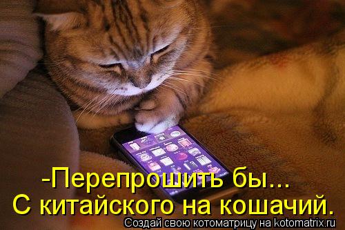 Котоматрица: -Перепрошить бы... С китайского на кошачий.
