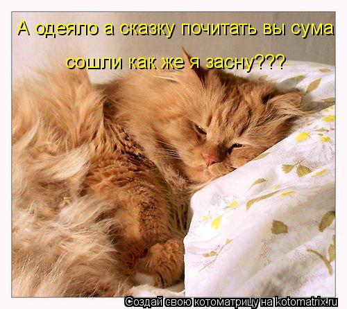Котоматрица: А одеяло а сказку почитать вы сума  сошли как же я засну???