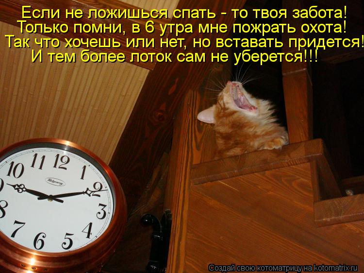 Я хочу спать только днем Я хочу спать только днем
