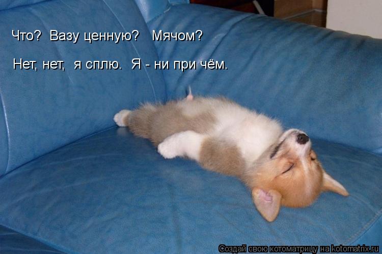 Нет, нет, я сплю. Я - ни при чём. Что? Вазу ценную? Мячом?... Котоматрица: Нет, нет, я сплю. Я - ни при чём. Что? Вазу ценную? Мячом?