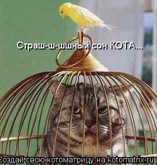 Котоматрица: Страш-ш-шшный сон КОТА...