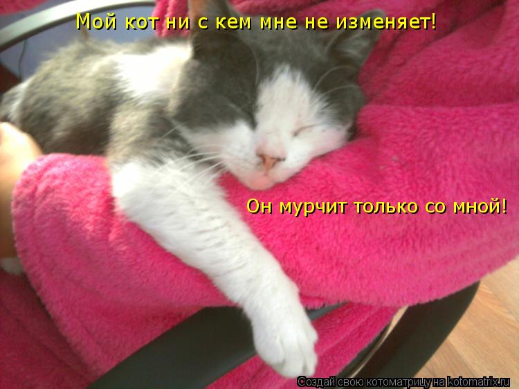 Котоматрица: Мой кот ни с кем мне не изменяет! Он мурчит только со мной!
