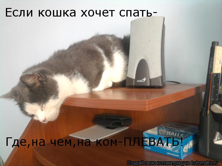 Котоматрица: Если кошка хочет спать- Где,на чем,на ком-ПЛЕВАТЬ!