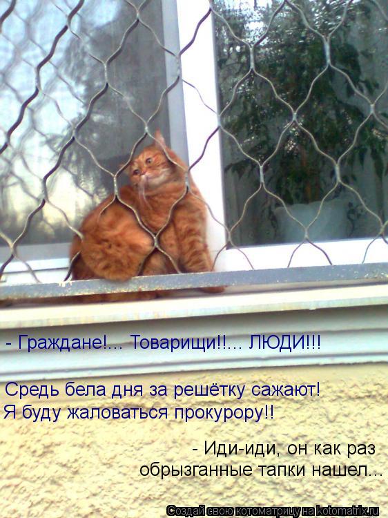 Котоматрица: - Граждане!... Товарищи!!... ЛЮДИ!!!  Средь бела дня за решётку сажают! Я буду жаловаться прокурору!! - Иди-иди, он как раз обрызганные тапки нашел..