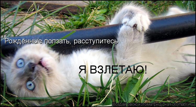 Котоматрица: Рождённые ползать, расступитесь Я ВЗЛЕТАЮ!