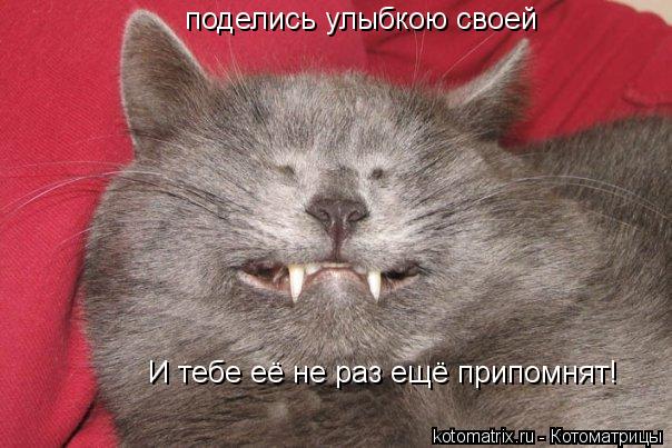 Котоматрица: поделись улыбкою своей И тебе её не раз ещё припомнят!