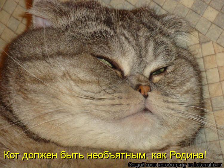 Кот должен быть необъятным, как Родина!... Котоматрица: Кот должен быть необъятным, как Родина!